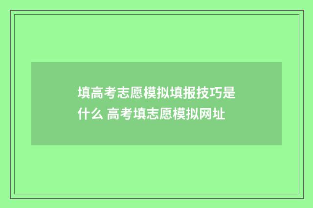 填高考志愿模拟填报技巧是什么 高考填志愿模拟网址