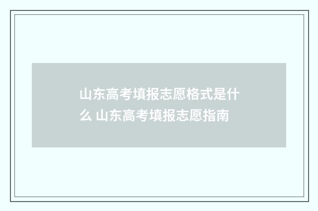山东高考填报志愿格式是什么 山东高考填报志愿指南