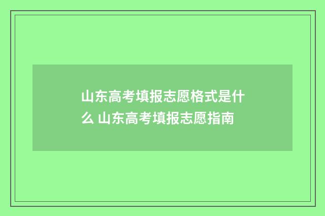 山东高考填报志愿格式是什么 山东高考填报志愿指南