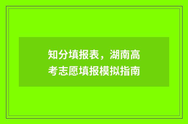 知分填报表，湖南高考志愿填报模拟指南