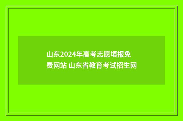 山东2024年高考志愿填报免费网站 山东省教育考试招生网