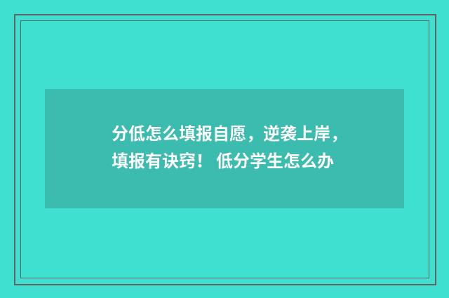 分低怎么填报自愿，逆袭上岸，填报有诀窍！ 低分学生怎么办