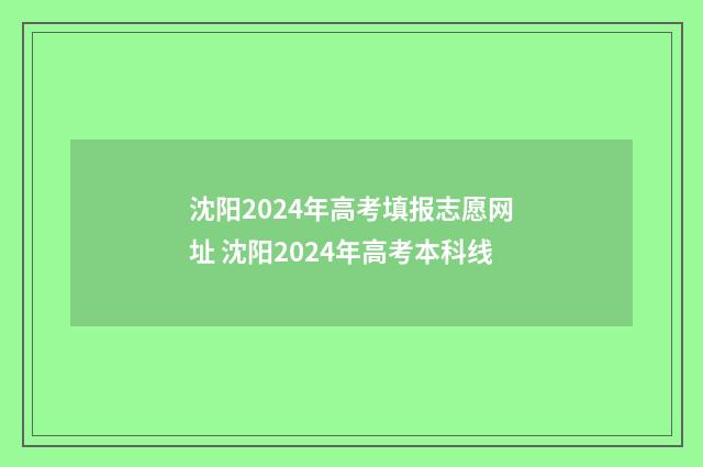 沈阳2024年高考填报志愿网址 沈阳2024年高考本科线