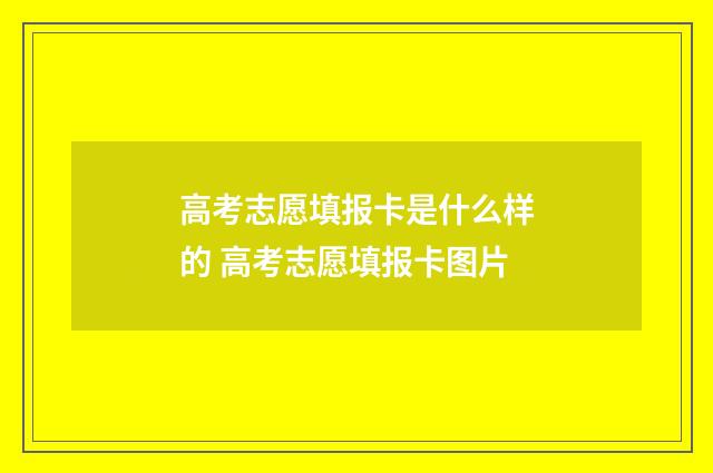 高考志愿填报卡是什么样的 高考志愿填报卡图片