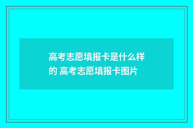 高考志愿填报卡是什么样的 高考志愿填报卡图片