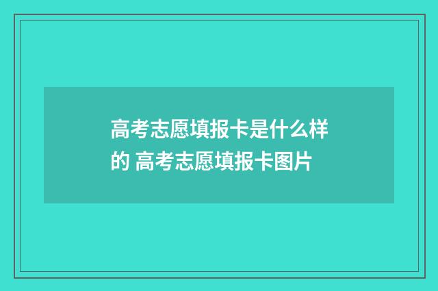 高考志愿填报卡是什么样的 高考志愿填报卡图片