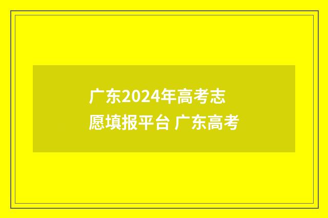 广东2024年高考志愿填报平台 广东高考