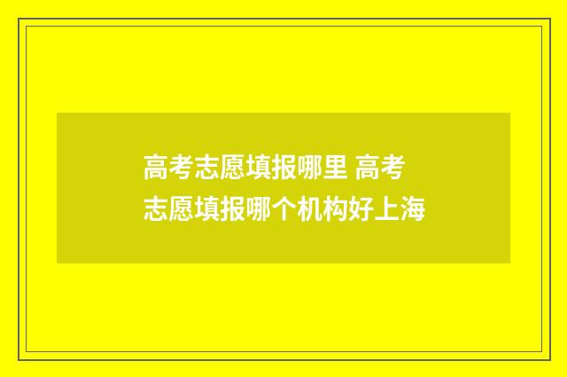 高考志愿填报哪里 高考志愿填报哪个机构好上海