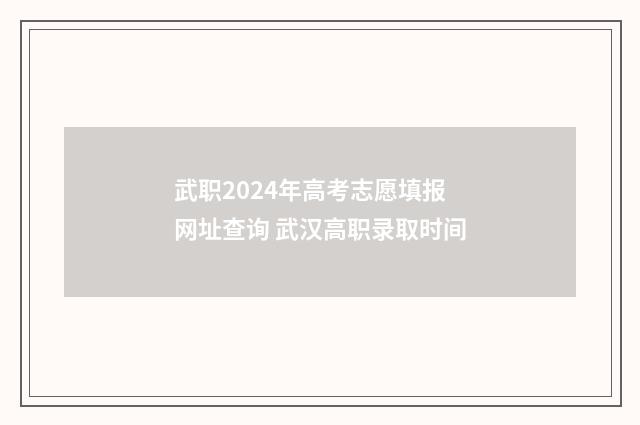 武职2024年高考志愿填报网址查询 武汉高职录取时间