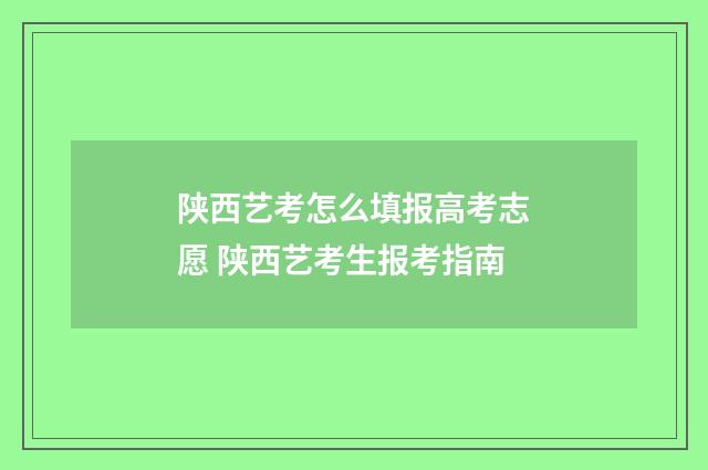 陕西艺考怎么填报高考志愿 陕西艺考生报考指南