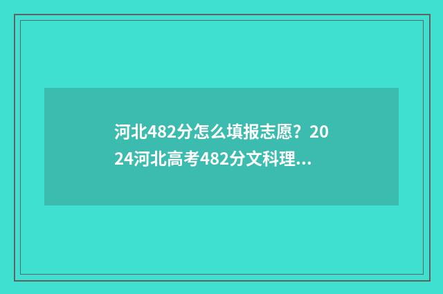 河北482分怎么填报志愿？2024河北高考482分文科理科填报志愿指南 河北省高考482分能上什么大学