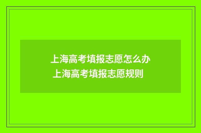 上海高考填报志愿怎么办 上海高考填报志愿规则