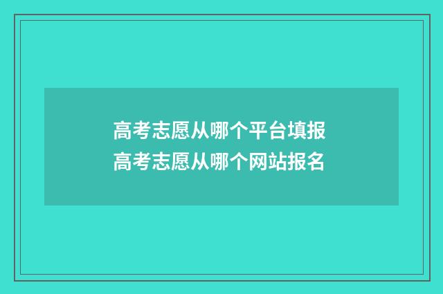 高考志愿从哪个平台填报 高考志愿从哪个网站报名