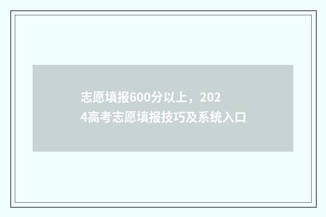 志愿填报600分以上，2024高考志愿填报技巧及系统入口