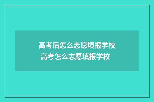 高考后怎么志愿填报学校 高考怎么志愿填报学校