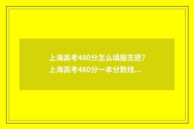 上海高考480分怎么填报志愿？上海高考480分一本分数线 上海高考480分难吗
