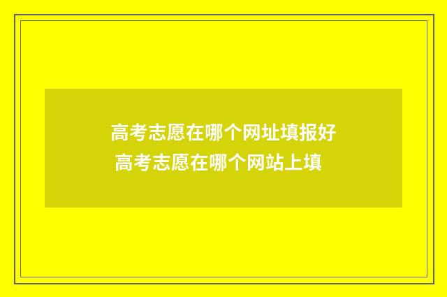 高考志愿在哪个网址填报好 高考志愿在哪个网站上填