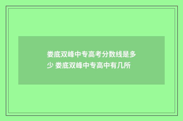 娄底双峰中专高考分数线是多少 娄底双峰中专高中有几所