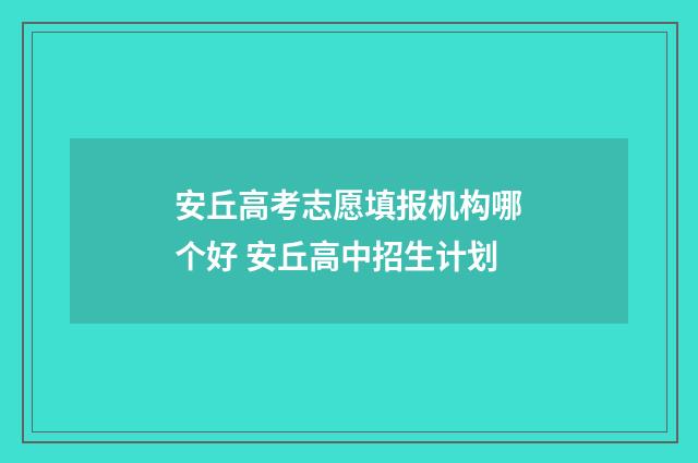 安丘高考志愿填报机构哪个好 安丘高中招生计划