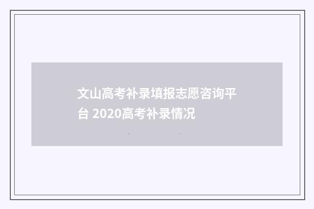 文山高考补录填报志愿咨询平台 2020高考补录情况