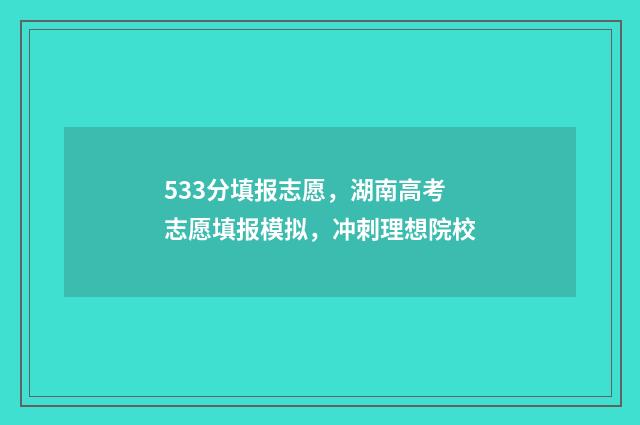 533分填报志愿，湖南高考志愿填报模拟，冲刺理想院校