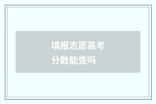 填报志愿高考分数能查吗