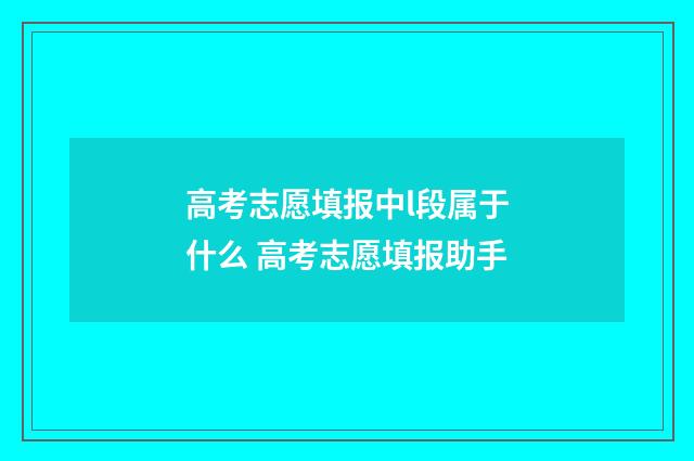 高考志愿填报中l段属于什么 高考志愿填报助手