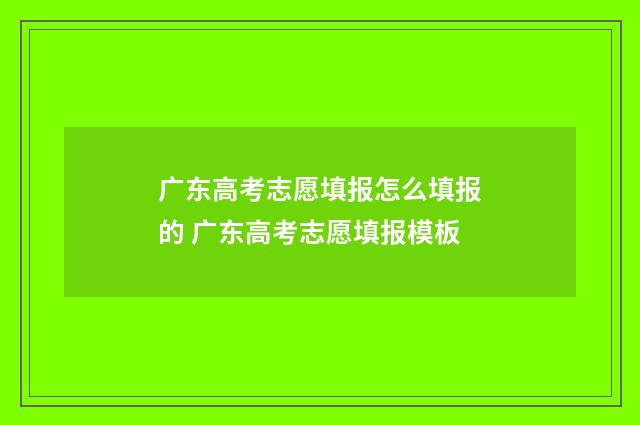 广东高考志愿填报怎么填报的 广东高考志愿填报模板