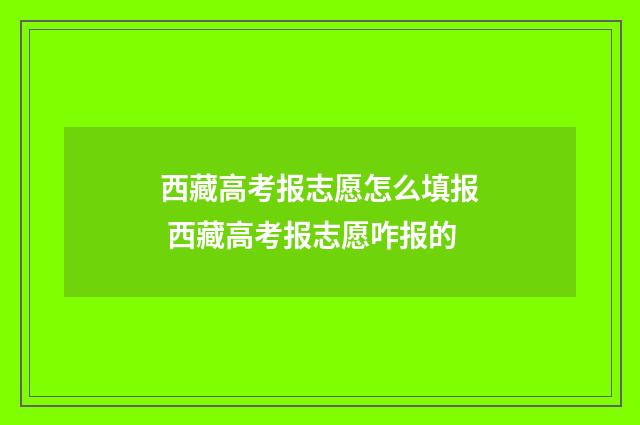 西藏高考报志愿怎么填报 西藏高考报志愿咋报的
