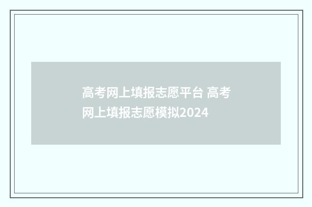 高考网上填报志愿平台 高考网上填报志愿模拟2024