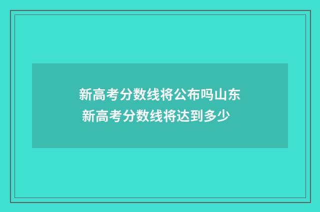 新高考分数线将公布吗山东 新高考分数线将达到多少