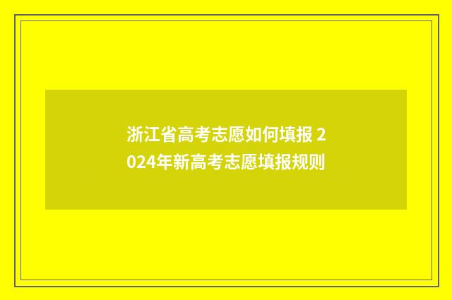 浙江省高考志愿如何填报 2024年新高考志愿填报规则
