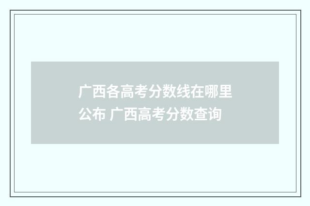广西各高考分数线在哪里公布 广西高考分数查询