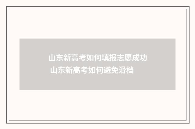 山东新高考如何填报志愿成功 山东新高考如何避免滑档
