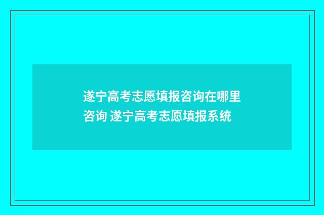遂宁高考志愿填报咨询在哪里咨询 遂宁高考志愿填报系统