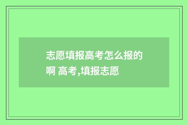 志愿填报高考怎么报的啊 高考,填报志愿