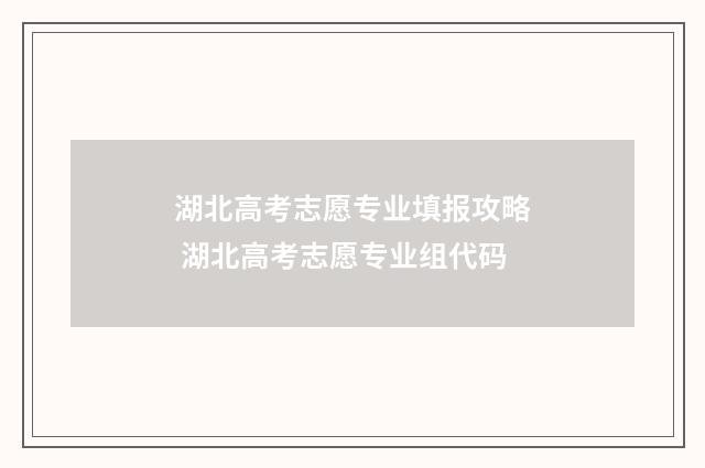 湖北高考志愿专业填报攻略 湖北高考志愿专业组代码