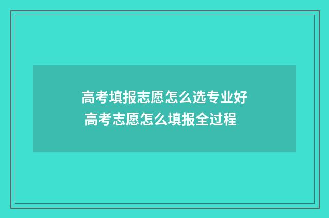 高考填报志愿怎么选专业好 高考志愿怎么填报全过程