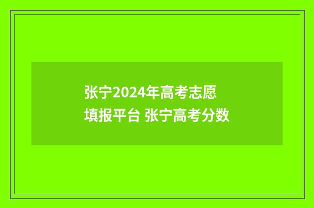 张宁2024年高考志愿填报平台 张宁高考分数