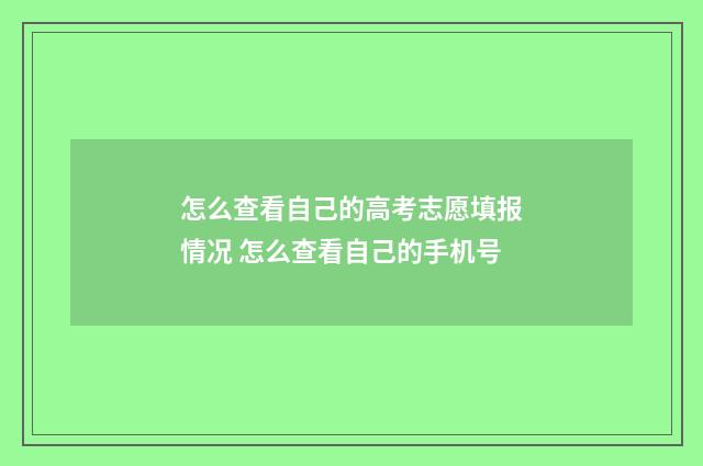 怎么查看自己的高考志愿填报情况 怎么查看自己的手机号