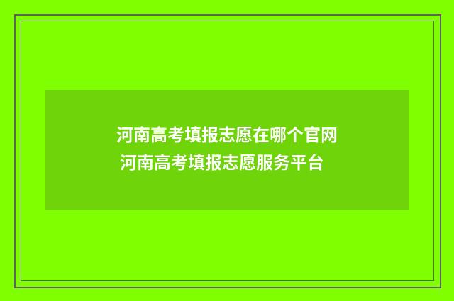 河南高考填报志愿在哪个官网 河南高考填报志愿服务平台