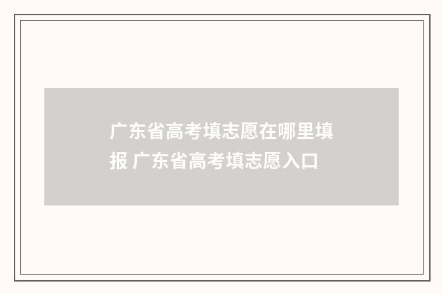 广东省高考填志愿在哪里填报 广东省高考填志愿入口
