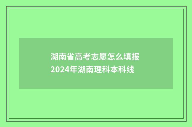 湖南省高考志愿怎么填报 2024年湖南理科本科线