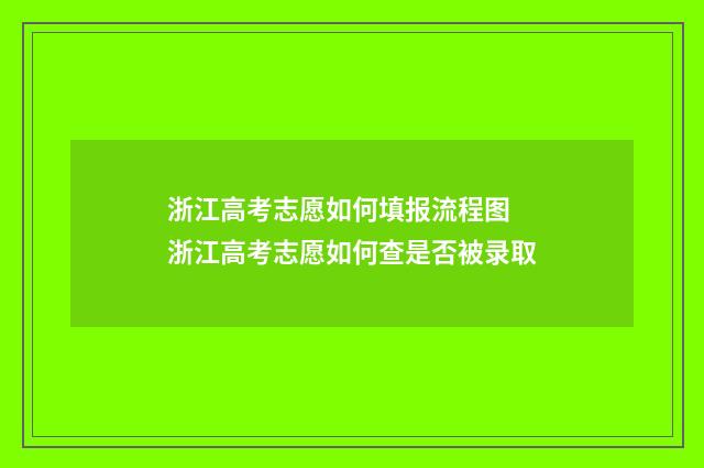 浙江高考志愿如何填报流程图 浙江高考志愿如何查是否被录取
