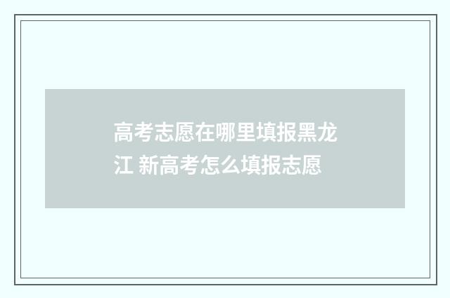 高考志愿在哪里填报黑龙江 新高考怎么填报志愿