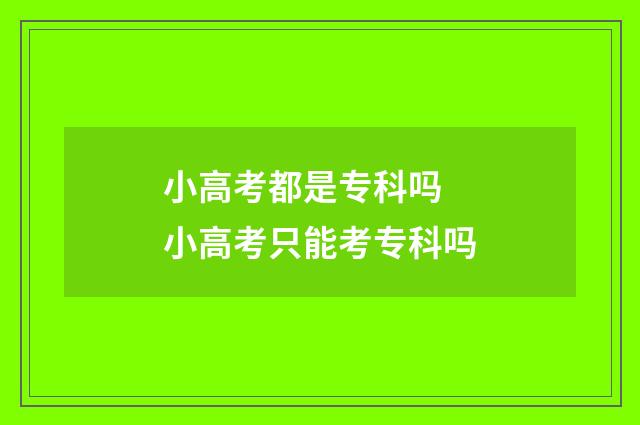 小高考都是专科吗 小高考只能考专科吗