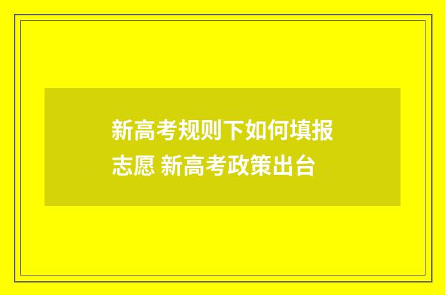 新高考规则下如何填报志愿 新高考政策出台
