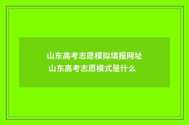 山东高考志愿模拟填报网址 山东高考志愿模式是什么