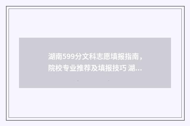湖南599分文科志愿填报指南，院校专业推荐及填报技巧 湖南文科590