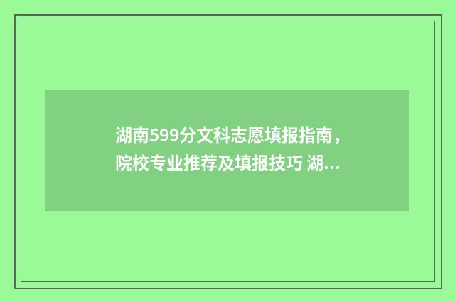 湖南599分文科志愿填报指南，院校专业推荐及填报技巧 湖南文科590